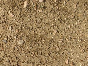 Dry Dirt Texture - Free High Resolution Photo