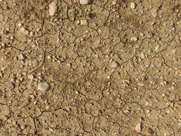 Dry Dirt Texture - Free High Resolution Photo 