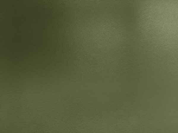 Army Green Faux Leather Texture - Free High Resolution Photo