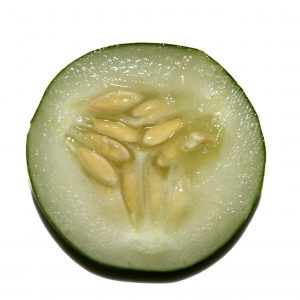 Cucumber Slice Close Up - Free High Resolution Photo