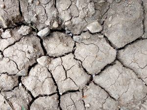 Dry Mud Close Up - Free High Resolution Photo