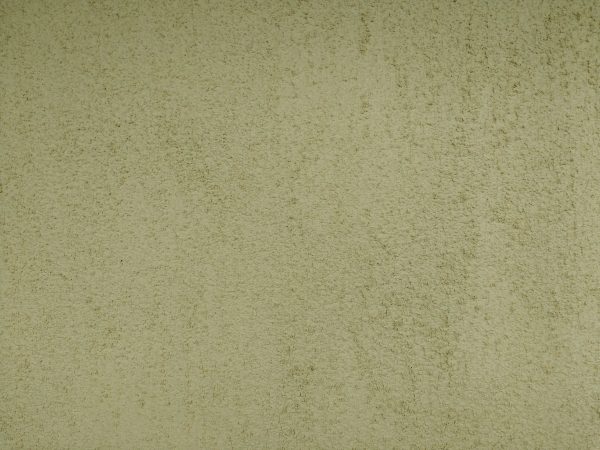 Olive Green Stucco Texture - Free High Resolution Photo 