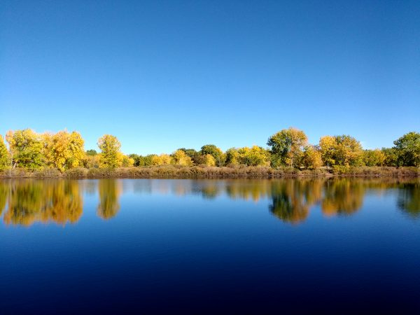 Trees Reflected in Blue Lake - Free High Resolution Photo 