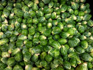 Brussels Sprouts - Free High Resolution Photo