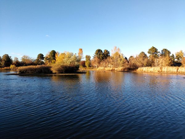 Lake in Autumn - Free High Resolution Photo