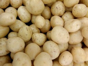 Yukon Gold Potatoes - Free High Resolution Photo