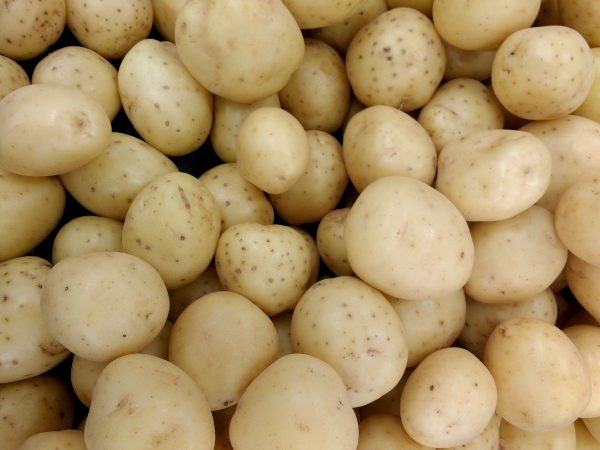 Yukon Gold Potatoes - Free High Resolution Photo 